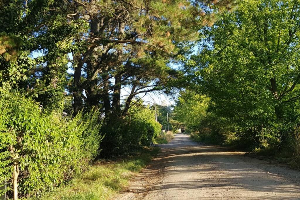 Cabana Los Robles Tandil Bagian luar foto